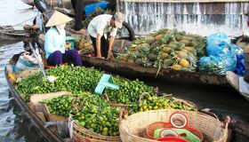 Begin your visa waiver-prepared day with Vietnam’s tranquil ambiance